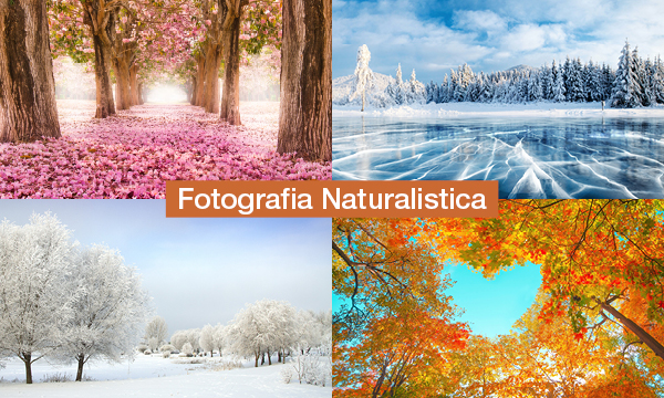 rivista-have-a-seat-living-scoprire-il-mondo-avventure-outdoor-fotografia-naturalistica