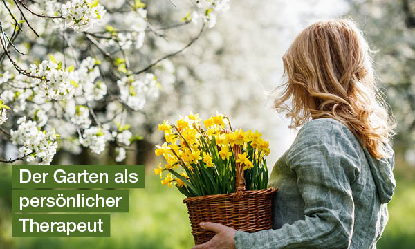 die-heilende-kraft-des-gartens-einereise-zur-stressbewaeltigung-der-garten-als-persoenlicher-therapeut