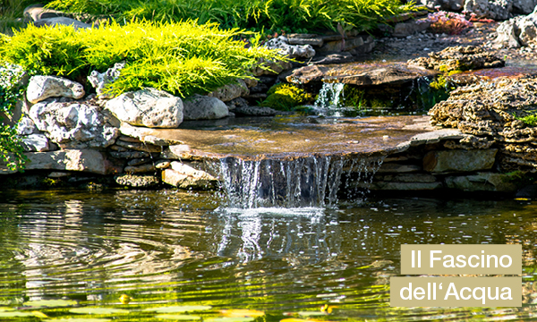 rivista-have-a-seat-living-unesplosione-di-sensi-nel-verde-fascino-acqua