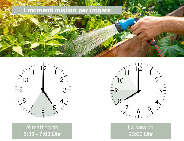 il momento migliore per annaffiare i fiori