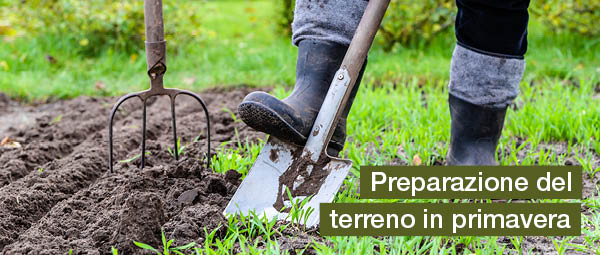 Preparazione del terreno in primavera