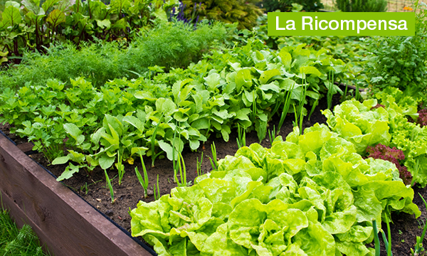 rivista-have-a-seat-living-creare-felicita-giardino-la-ricompensa