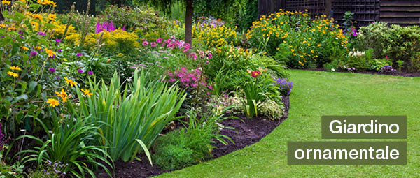 design del giardino giardino ornamentale