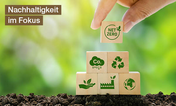 das-gruene-paradies-ein-gewaechshaus-im-eigenen-garten-nachhaltigkeit-im-fokus