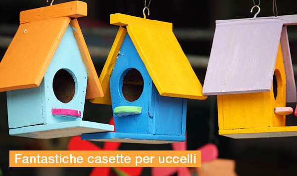 magazine-have-a-seat-living-progetti-di-giardinaggio-per-bambini-case-per-uccelli-fantastici