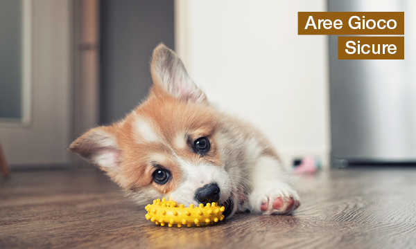 rivista-have-a-seat-living-rendere-felici-i-tuoi-animali-domestici-aree-gioco-sicure