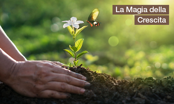 rivista-have-a-seat-living-il-potere-curativo-del-giardino-la-magia-della-crescita