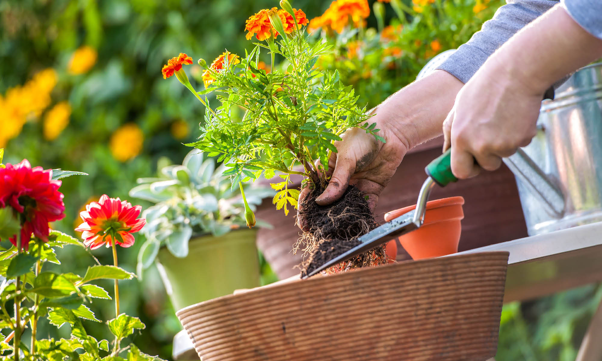 Nützliche Tipps zum Frühjahrsputz im Garten magazin-have-a-seat-living-beitragsbild-nuetzliche-tipps-zum-fruehjahrsputz-im-garten
