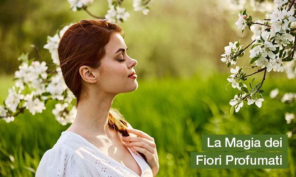 rivista-have-a-seat-living-unesplosione-di-sensi-nel-verde-magia-dei-fiori-profumati