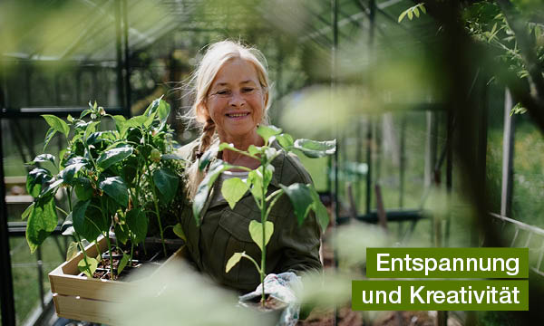 das-gruene-paradies-ein-gewaechshaus-im-eigenen-garten-entspannung-und-kreativität