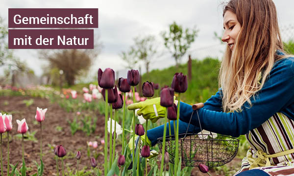die-heilende-kraft-des-gartens-einereise-zur-stressbewaeltigung-gemeinschaft-mit-der-natur