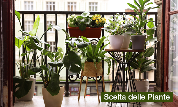 rivista-have-a-seat-living-cura-del-balcone-in-fiore-scelta-piante