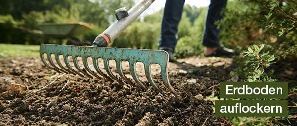 gartenarbeit erdboden auflockern