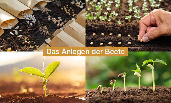 gartenglueck-gestalten-schritt-fuer-schritt-anleitung-zum-anlegen-von-beeten-das-anlegen-der-beete