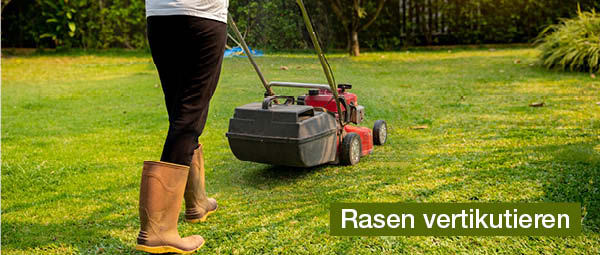 rasen-vertikutieren