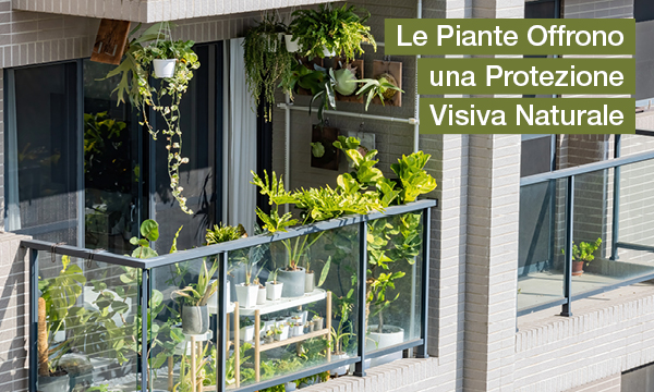 rivista-have-a-seat-living-rivestimenti-e-protezione-visiva-balcone-piante-come-protezione-naturale