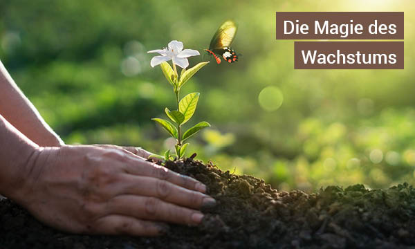 die-heilende-kraft-des-gartens-einereise-zur-stressbewaeltigung-die-magie-des-wachstums