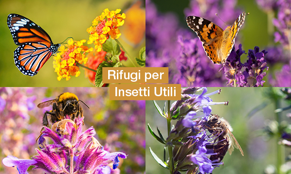 rivista-have-a-seat-living-verde-sul-balcone-in-primavera-sostenere-la-popolazione-locale-di-insetti