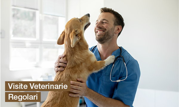 rivista-have-a-seat-living-rendere-felici-i-tuoi-animali-domestici-visite-veterinarie-regolari