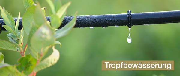 Tropfbewässerungssystem auf Balkon für nachhaltige Gartenpflege