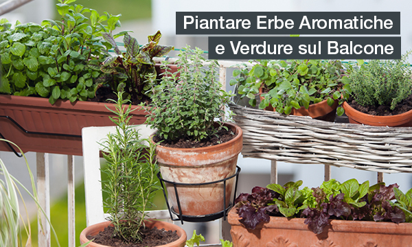 rivista-have-a-seat-living-verde-sul-balcone-in-primavera-erbe-aromatiche-e-verdure-sul-balcone-piante