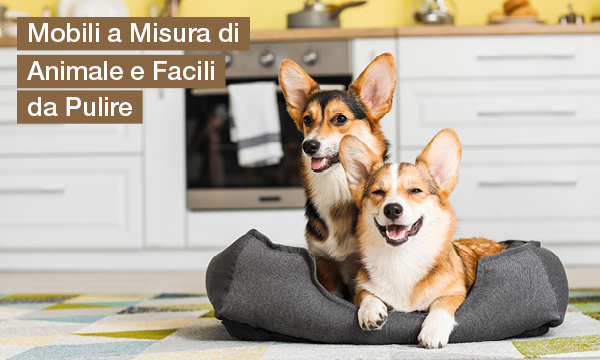 rivista-have-a-seat-living-rendere-felici-i-tuoi-animali-domestici-mobili-a-misura-di-animale