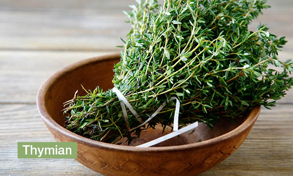 magazin-have-a-seat-living-krautergarten-gestalten-thymian