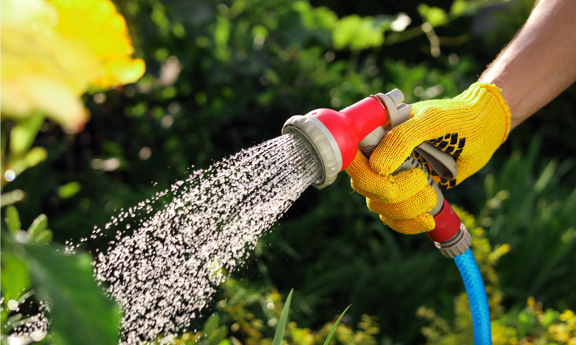 Gießen im Garten mit Hilfe einer Gartenbrause - Effiizentes Gießen: Tipps und Tricks zum Wassersparen