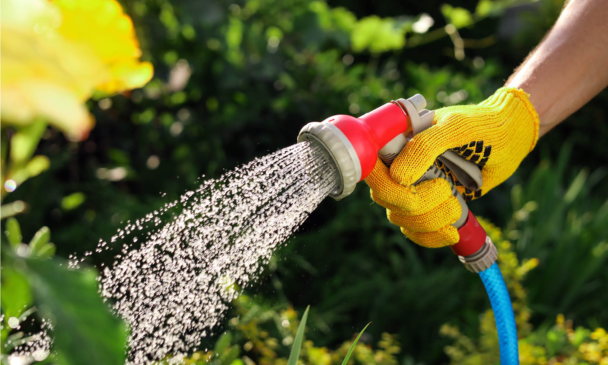 Beim Gießen Wasser sparen - aber wie? | HAVE A SEAT Living / Magazin Gießen im Garten mit Hilfe einer Gartenbrause - Effiizentes Gießen: Tipps und Tricks zum Wassersparen