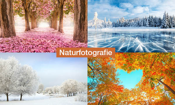 magazin-have-a-seat-living-die-welt-entdecken-outdoor-abenteuer-naturfotografie